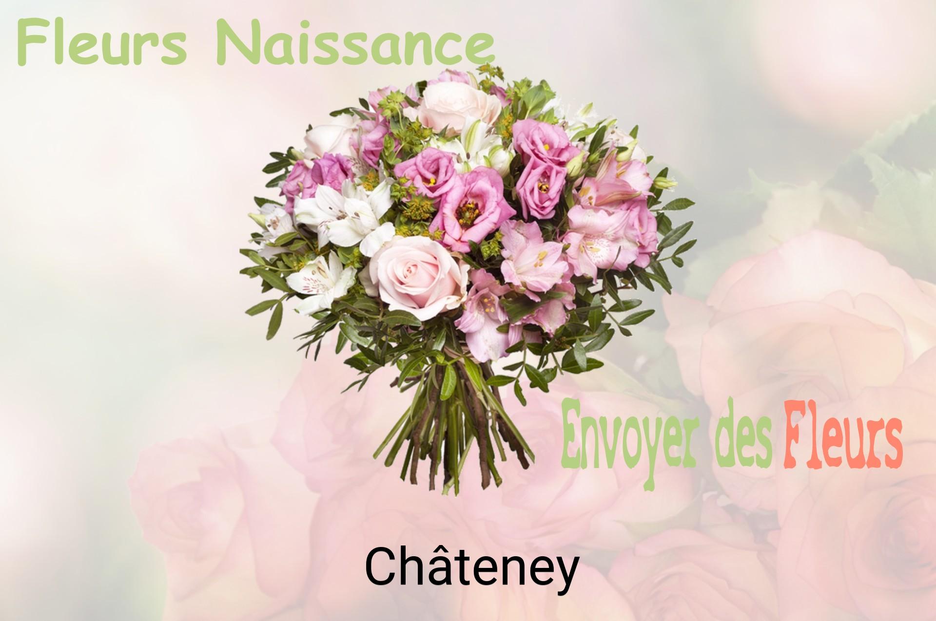 Bouquet de fleurs de naissance livré à Châteney