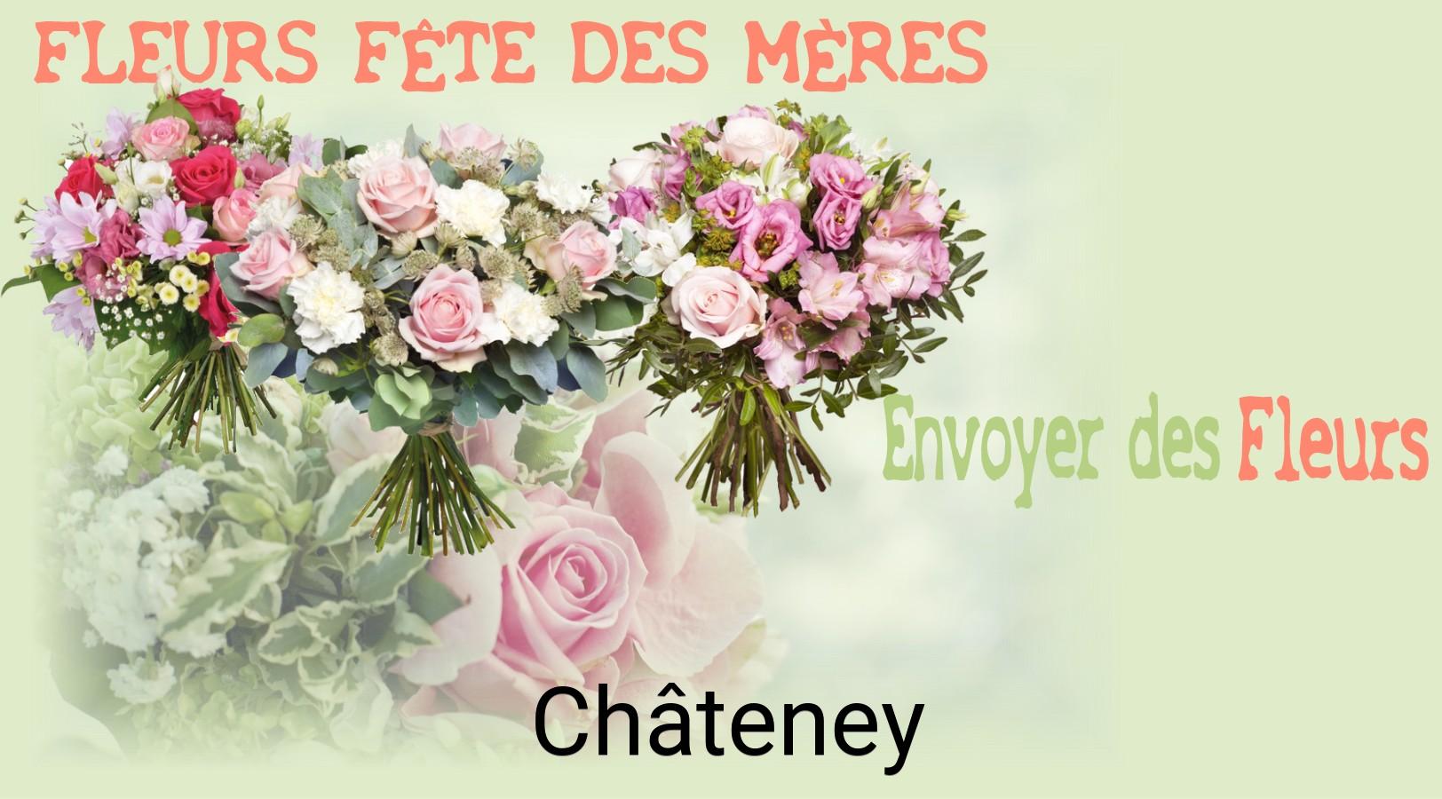 Bouquet de Fête des Mères livré à Châteney